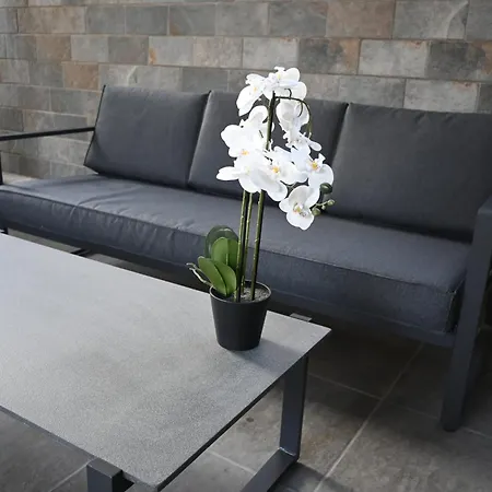 Villa Luxury With Modern Interior Perfectly Located